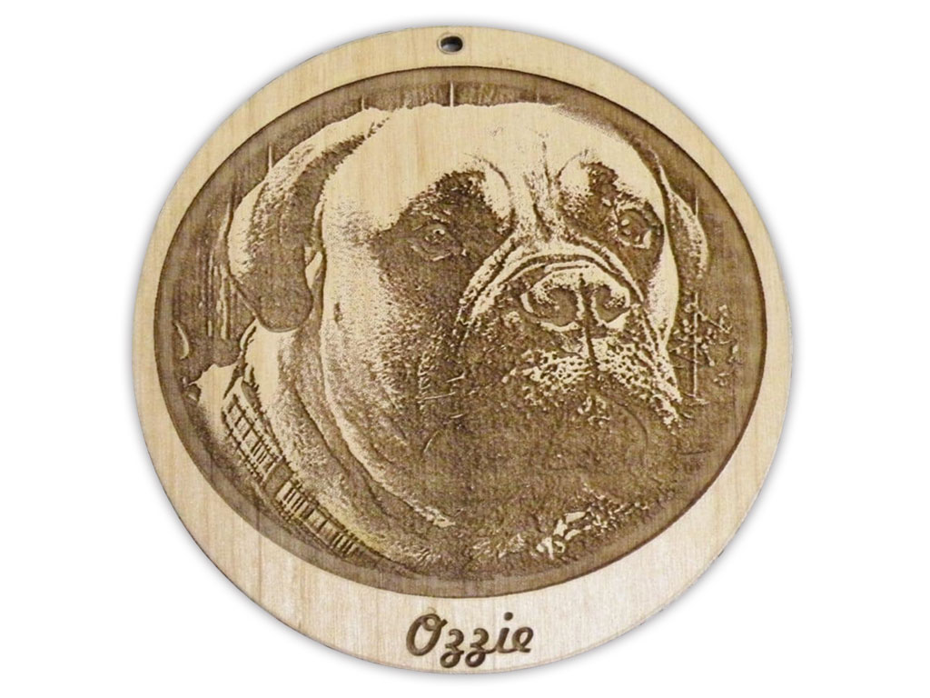 激光木雕機項目