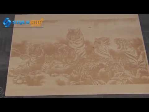 工業級 CO2 木版印刷激光打標機