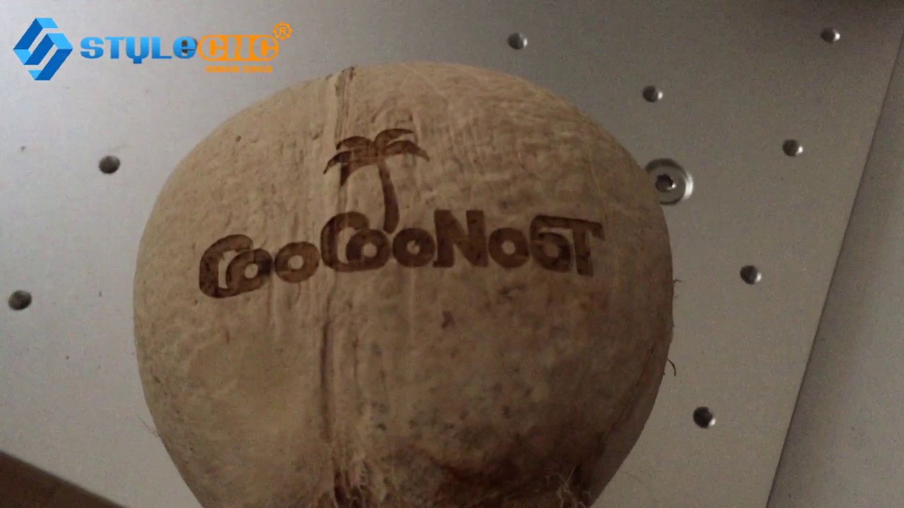 實惠價格 CO2 椰子激光水果打標機